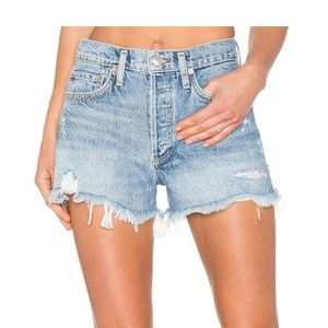 AGOLDE Parker Vintage Short in Swapmeet
